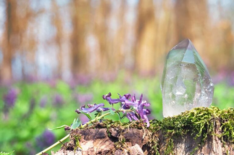 Kristall mit Blüte auf bemoostem Baumstumpf in sonnigem Frühlingswald als Symbol für klassisches Lektorat